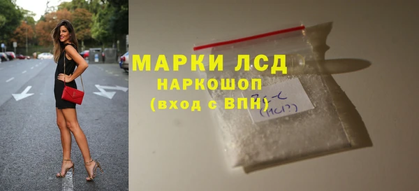 шишки Аркадак