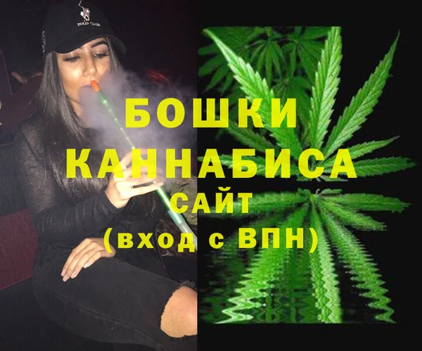 spice Арсеньев