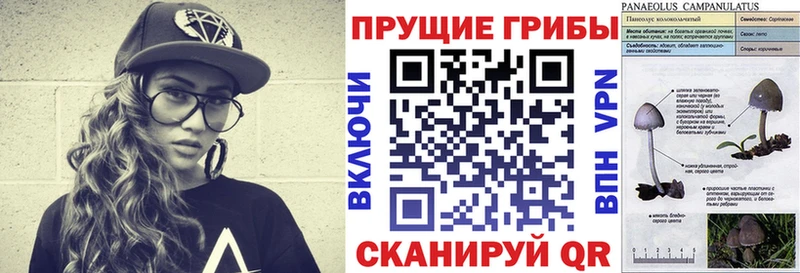 Галлюциногенные грибы Psilocybine cubensis Топки